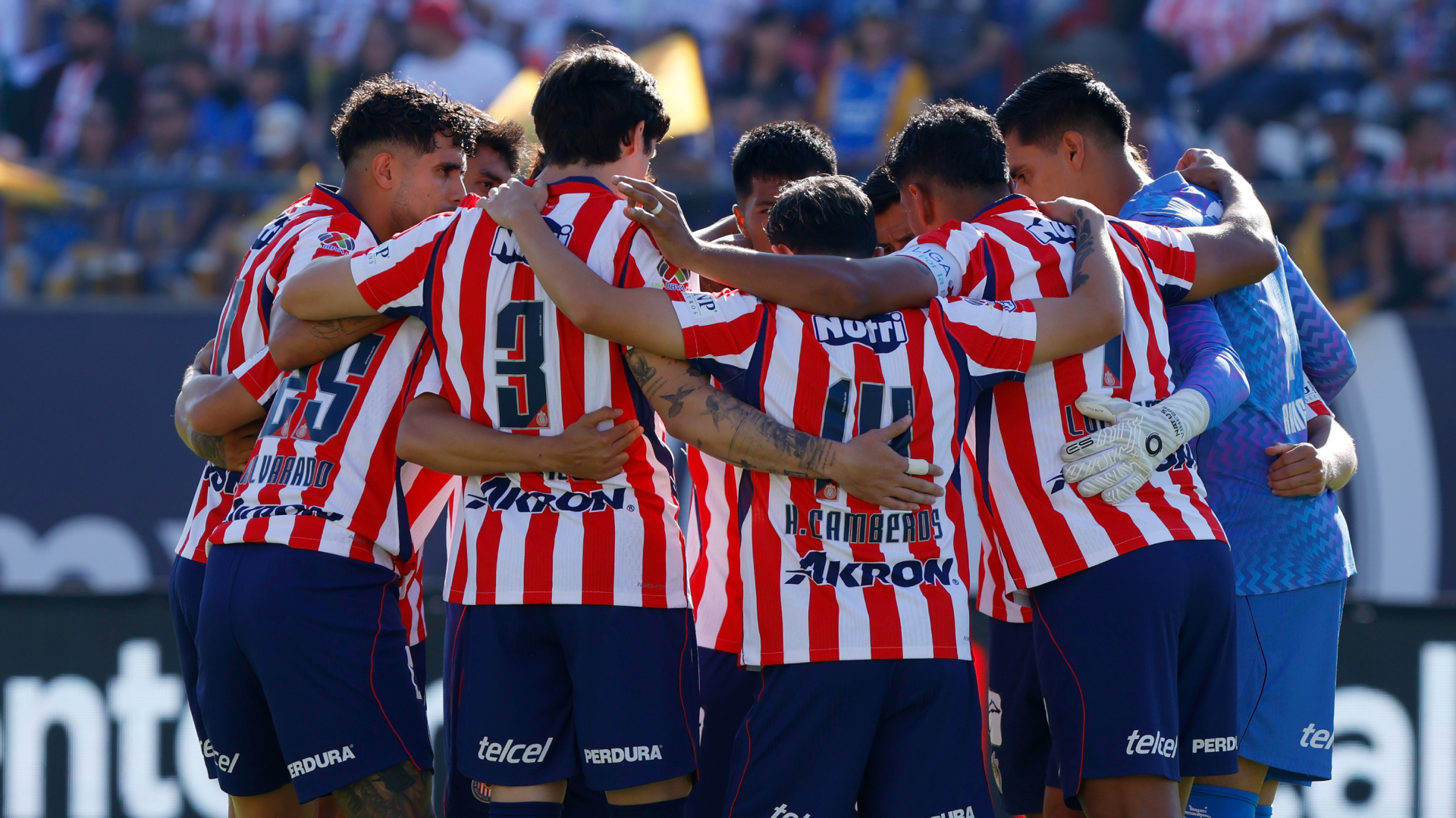 Jugadores de Chivas en un partido de Liga MX